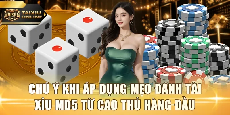 Chú ý khi áp dụng mẹo đánh tài xỉu MD5 từ cao thủ hàng đầu