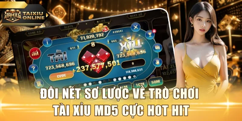 Đôi nét sơ lược về trò chơi tài xỉu MD5 cực hot hit