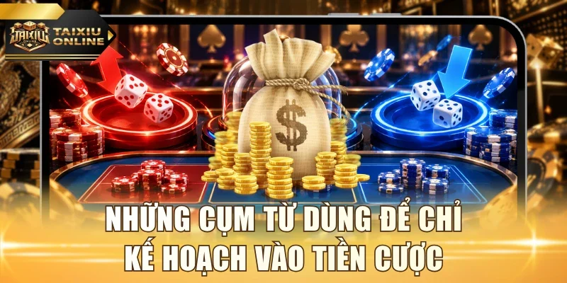 Những cụm từ dùng để chỉ kế hoạch vào tiền cược