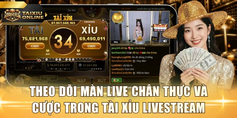 Theo dõi màn live chân thực và cược trong Tài Xỉu Livestream
